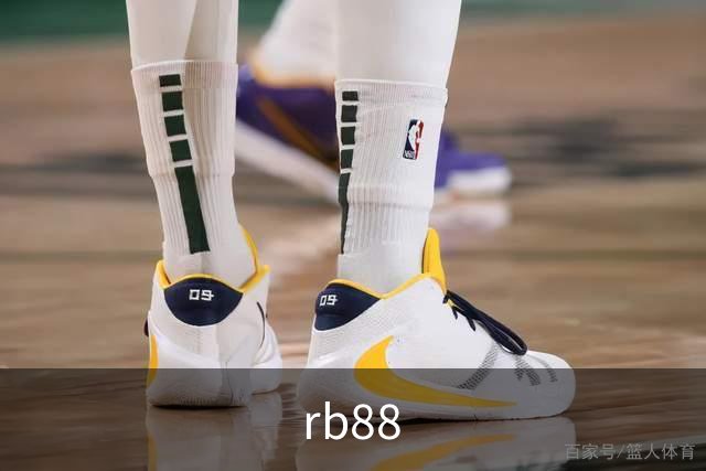 rb88 公司简介
